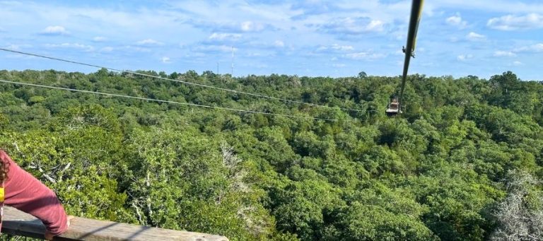 Zipline over trees in Texas