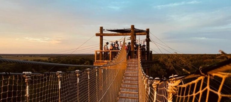 Austin Zip Line Sunset Experience